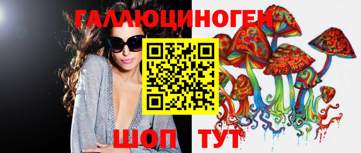 Псилоцибиновые грибы Psilocybine cubensis  Вход с VPN  где найти   Набережные Челны 